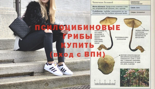 твердый Арсеньев