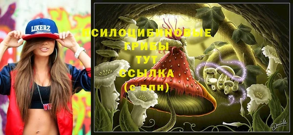 метамфетамин Аркадак