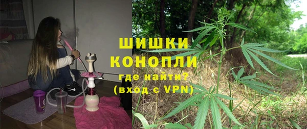 твердый Арсеньев