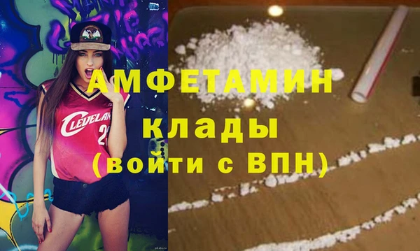 твердый Арсеньев