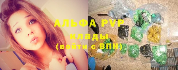 твердый Арсеньев