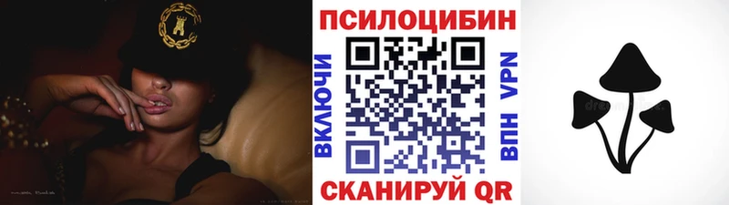 darknet официальный сайт Пущино Псилоцибиновые грибы мицелий